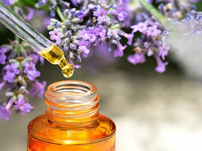 Oil extraction from lavender flower